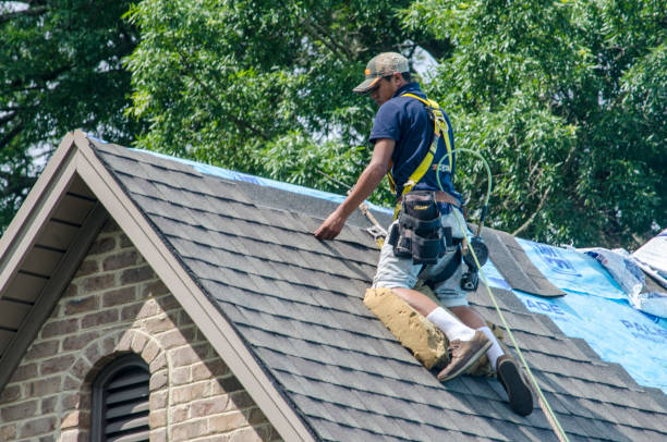Best Roof Leak Repair  in Springfield, MO